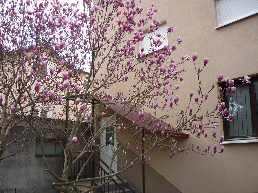 Guest House Ok Međugorje Zewnętrze zdjęcie